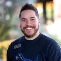 Team AzAEYC | AzAEYC