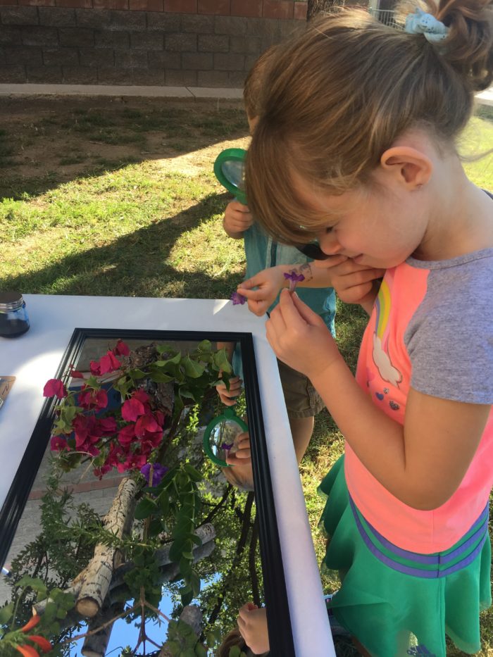 Alexa sniffs a flower from the array of natural materials from the provocation exploring art and the natural world. 